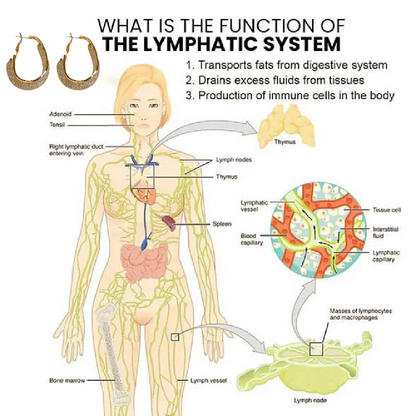 （🔥LAST DAY SALE-50% OFF) Peachlife™ Miniyou Lymphatic Drainage Earrings